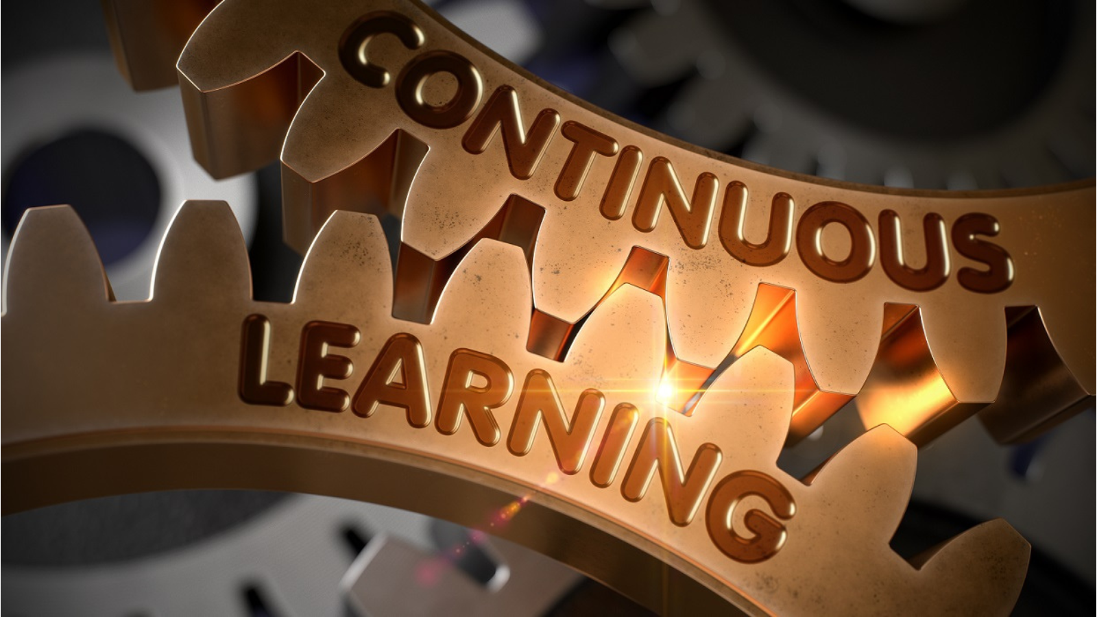 the importance of continuous learning and professional development